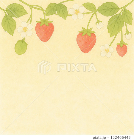 春の果物シリーズ：いちごの蔓が垂れる春の背景 132466445