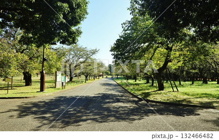 都立小金井公園 132466482