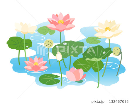 蓮と睡蓮が咲き誇る池をイメージしたイラスト 蓮と睡蓮が咲き誇る池をイメージしたイラスト 132467053