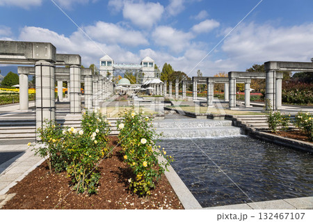 ぐんまフラワーパークプラス　メインフラワーガーデン 132467107