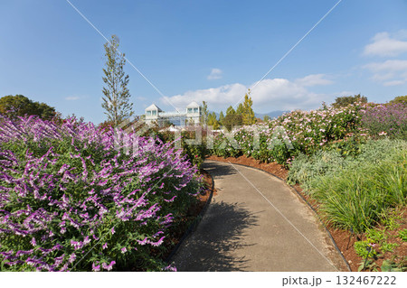 ぐんまフラワーパークプラス　メインフラワーガーデンの遊歩道 132467222