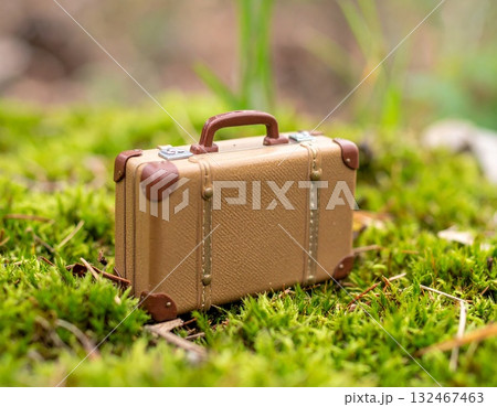ミニチュアの旅行トランク 132467463