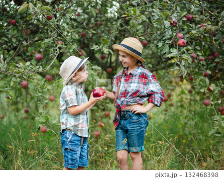 Cheerful boy girl standing apple orchard red apples hands, children dressed checkered shirts, hats. Family picnic, snacks, vitamins, organic fruits. Cheerful boy girl standing apple orchard red apples hands, children dressed checkered shirts, hats. Family picnic, snacks, vitamins, organic fruits. 132468398