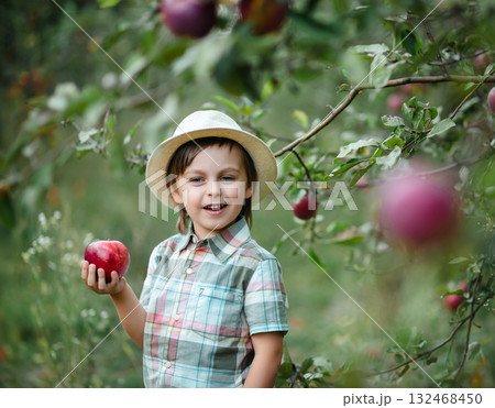 Cute joyful boy in hat stands in middle of an apple orchard with red apple in his hands, snack, vitamins, organic fruits. Cute joyful boy in hat stands in middle of an apple orchard with red apple in his hands, snack, vitamins, organic fruits. 132468450