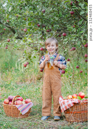 Cute joyful boy standing in middle of an apple orchard with wicker basket, boy takes Cute joyful boy standing in middle of an apple orchard with wicker basket, boy takes 132468455