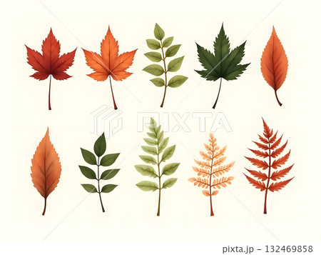 Diverse Collection of Stylized Autumn Leaves 132469858