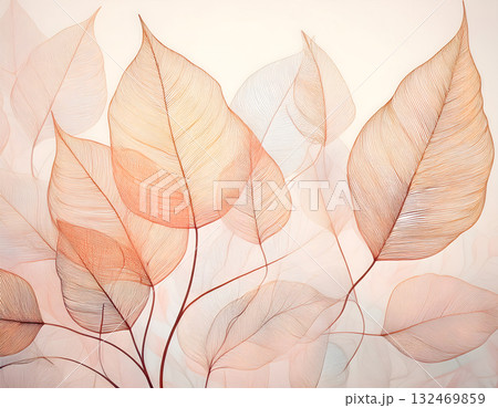 Delicate sheer skeletal leaves with fine veins in warm tones 132469859