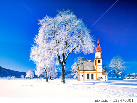 バイエルン地方の美しい霧氷の風景 132470301