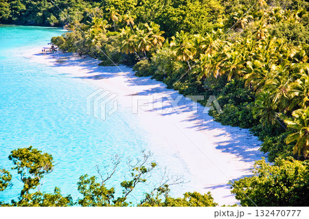 カリブ海の美しい珊瑚礁のビーチ 132470777