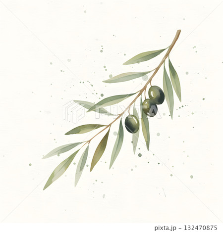 Delicate olive branch with dark fruit in a soft watercolor style 132470875