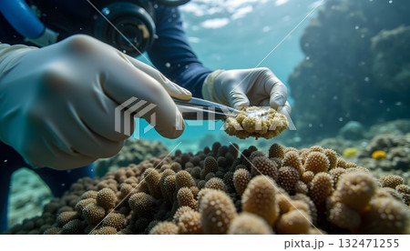 Underwater Scientist Collecting Coral Samples with Precision Tools for Marine Research Underwater Scientist Collecting Coral Samples with Precision Tools for Marine Research 132471255