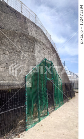 掩体壕 掩体壕跡 戦争遺構 (長崎県大村市/下原口公園) 掩体壕 掩体壕跡 戦争遺構 (長崎県大村市/下原口公園) 132471294