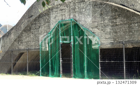 掩体壕　掩体壕跡　戦争遺構  (長崎県大村市／下原口公園) 132471309