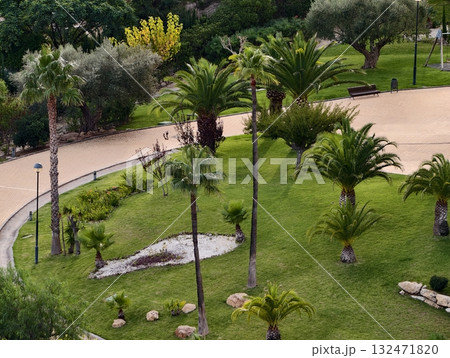 sunny garden retreat, bright tropical garden featuring winding walkways and picnic spots 132471820