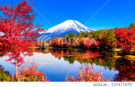 真っ赤な紅葉風景と富士山合成 真っ赤な紅葉風景と富士山合成 132471970