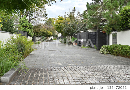 越谷散歩：こしがや・四季の路　埼玉県越谷市大道 132472021