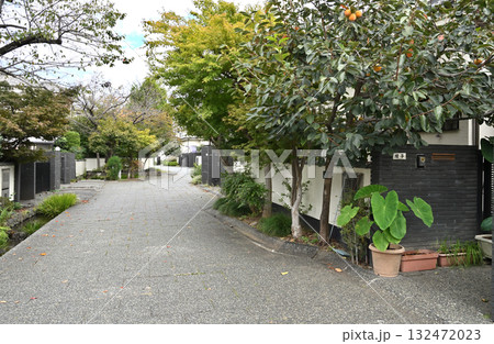 越谷散歩：こしがや・四季の路　埼玉県越谷市大道 132472023