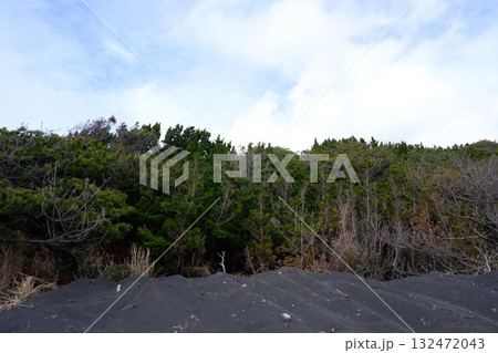 裏砂漠・伊豆大島 裏砂漠・伊豆大島 132472043