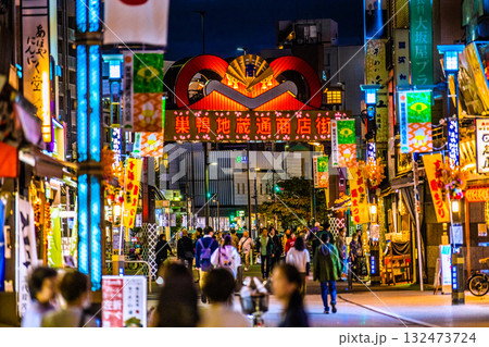 日本の東京都市景観インバウンド…巣鴨駅(奥)や巣鴨地蔵通商店街(巣鴨地蔵通り商店街)などを望む 日本の東京都市景観インバウンド…巣鴨駅(奥)や巣鴨地蔵通商店街(巣鴨地蔵通り商店街)などを望む 132473724