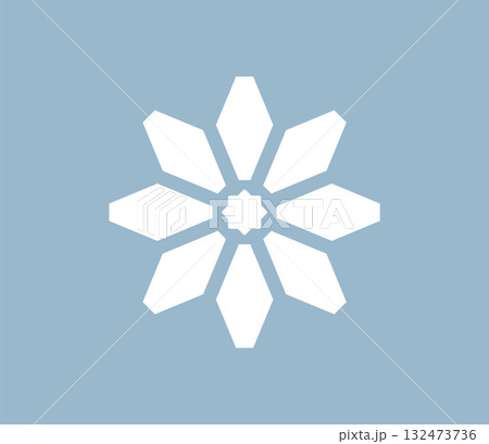 白い雪の結晶のアイコンイラスト　ベクター 132473736