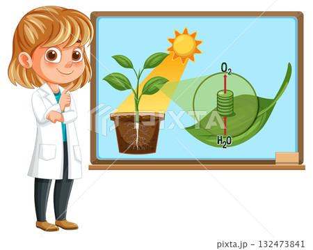 Young Scientist Explains Photosynthesis on Classroom Whiteboard 132473841