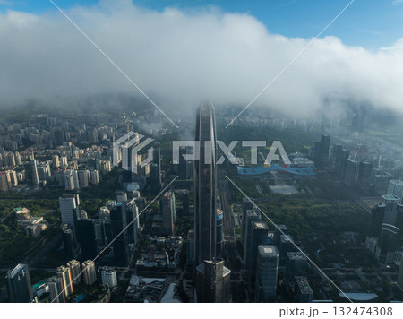 Aerial view of landscape in Shenzhen city, China 132474308