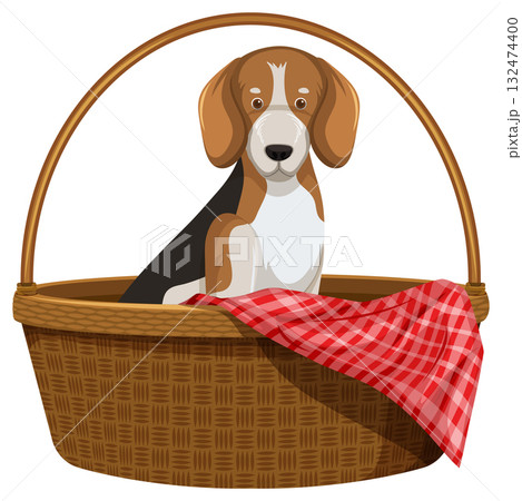 Beagle Puppy Sitting in Wicker Picnic Basket Beagle Puppy Sitting in Wicker Picnic Basket 132474400