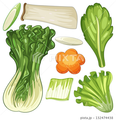 Colorful Vector Illustration of Fresh Vegetables 132474438