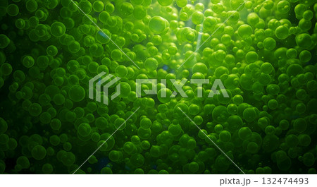 Abstract texture of green spheres or biological cells suspended in liquid 132474493