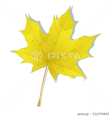 Hand-drawn yellow maple leaf isolated on white background. Flat and line style autumn colored vector illustration.  132474665