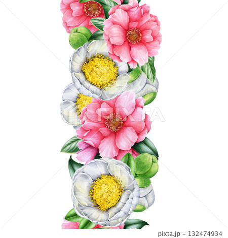 Camellia white and pink flowers seamless border decor element. Hand drawn vintage style watercolor illustration. Tender pink and white camellia blossoms seamless border bright decoration 132474934