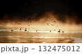 朝霧で霞む中を飛び来る鴨の群れ、幻想的、エコロジーイメージ 132475012