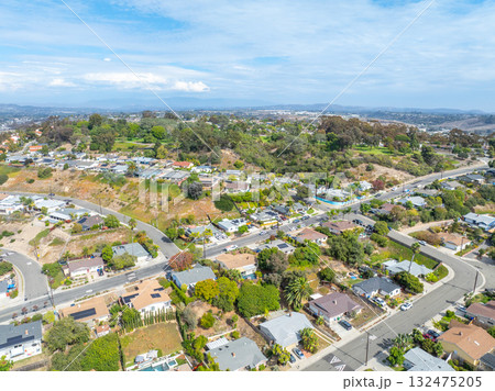 Aerial view of houses in Oceanside town in San Diego, California. USA 132475205