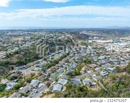 Aerial view of houses in Oceanside town in San Diego, California. USA 132475207