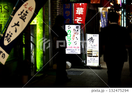 日本の東京都市景観　賑わう夜の巣鴨地蔵通商店街（巣鴨地蔵通り商店街）などを望む 132475294