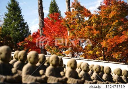 紅葉に包まれた地蔵たち 紅葉に包まれた地蔵たち 132475719