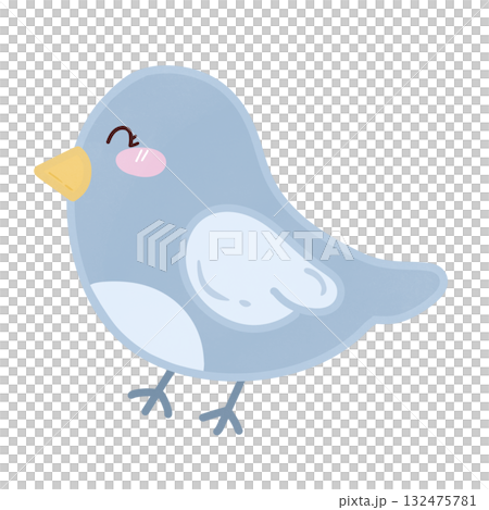 cute blue bird isolated on white background 132475781