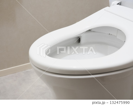 トイレの便器 トイレの便器 132475990