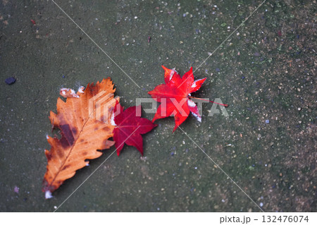 水たまりに落ちた紅葉した葉 132476074