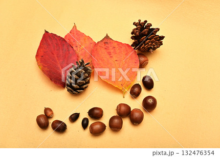 落ち葉とどんぐり　秋イメージ 132476354