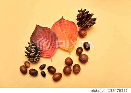 落ち葉とどんぐり　秋イメージ 132476355