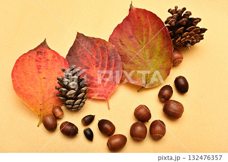 落ち葉とどんぐり　秋イメージ 132476357