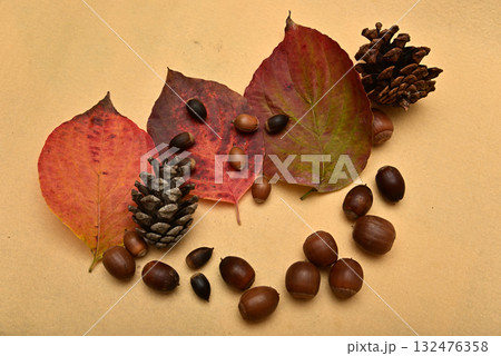 落ち葉とどんぐり　秋イメージ 132476358