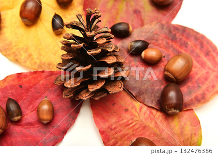 落ち葉とどんぐり　秋イメージ 132476386