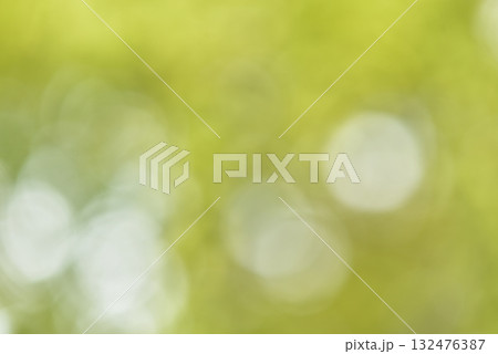 グリーン系 　背景素材 132476387