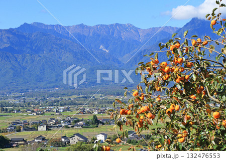 安曇野の秋　柿と北アルプス 132476553