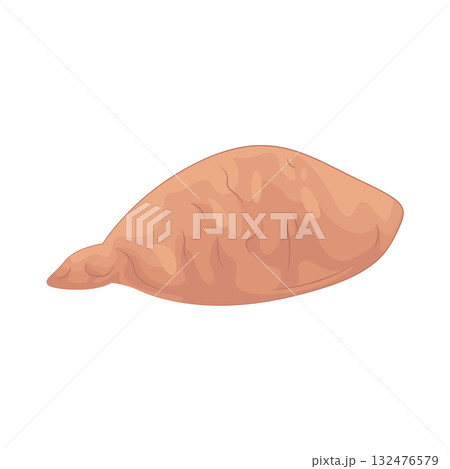 Illustration of sweet potato Illustration of sweet potato 132476579