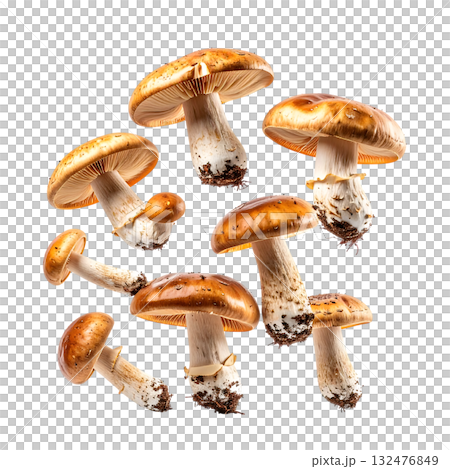 Mushrooms flying in the autumn forest | No background, transparent PNG, copy space 132476849