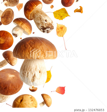 秋の森に舞うキノコ|背景なし・透過PNG・コピースペース 秋の森に舞うキノコ|背景なし・透過PNG・コピースペース 132476853