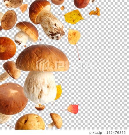 秋の森に舞うキノコ|背景なし・透過PNG・コピースペース 秋の森に舞うキノコ|背景なし・透過PNG・コピースペース 132476853
